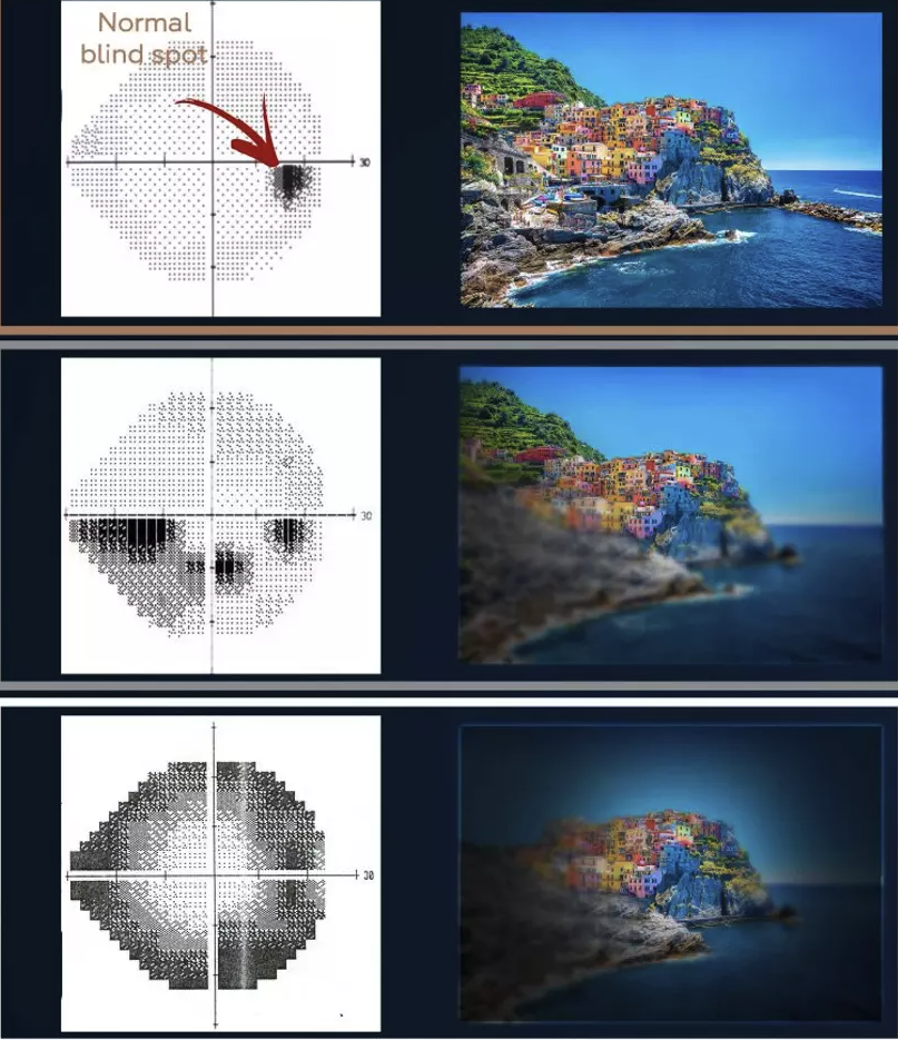 bautepj12c bautepj12c
